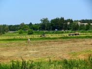 Новостав з panoramio.com