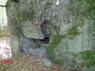 Дев'ятир з panoramio.com