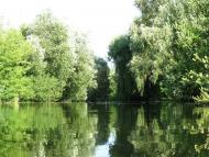 Селище з panoramio.com