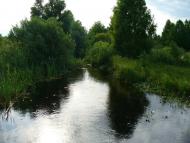 Полуничне з panoramio.com