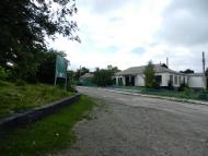 Носківці - Останні фото