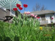 Бабин з panoramio.com