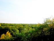 Введенка з panoramio.com