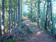 Красна з panoramio.com