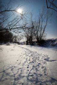 Тисмениця з panoramio.com