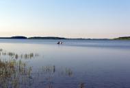 Веселе з panoramio.com