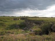 Кам'янське з panoramio.com