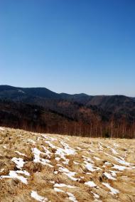 Букове з panoramio.com