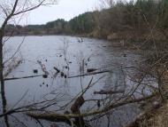 Ясинуватка з panoramio.com