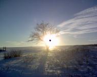 Червона Нива з panoramio.com