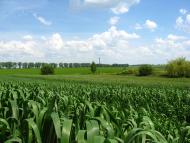 Угринів з panoramio.com