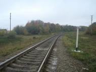 Буйволівці з panoramio.com