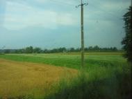 Двірець - Останні фото