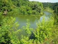 Селище з panoramio.com