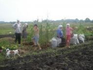 Яревище з panoramio.com