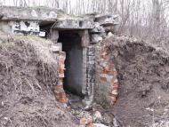 Хорошеве з panoramio.com