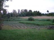 Звози з panoramio.com