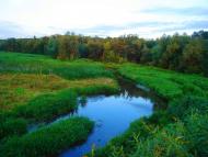 Гайворон - Останні фото