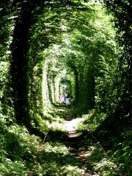 Клевань з panoramio.com