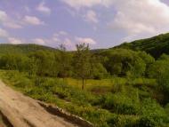 Кринцілів з panoramio.com