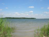 Веселе з panoramio.com