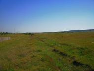 Приятне Свідання з panoramio.com