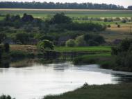 Новоскелюватка з panoramio.com