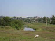 Доманівка з panoramio.com