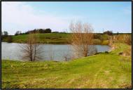 Цикали - Останні фото