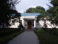 Будище з panoramio.com