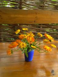 Дядьковичі з panoramio.com