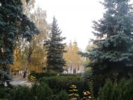 Теплик з panoramio.com