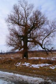 Клепачів - Останні фото