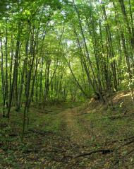 Хотімля з panoramio.com