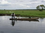 Боровне - Останні фото