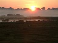 Купчинці з panoramio.com