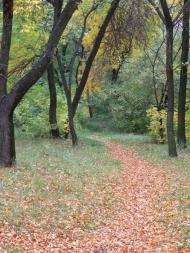 Стаханов з panoramio.com