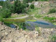 Берестовець з panoramio.com