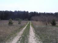 Мотрине з panoramio.com