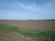 Черепова з panoramio.com