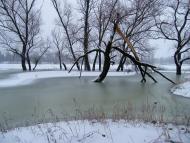 Слов'яносербськ з panoramio.com