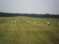 Лукашівка з panoramio.com