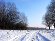 Веселе з panoramio.com