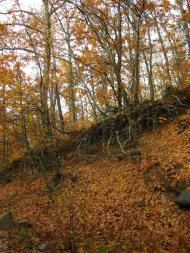 Виноградний з panoramio.com