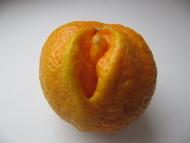 Куп'янськ-Вузловий з panoramio.com