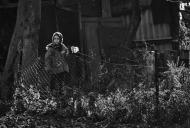 Сезьки з panoramio.com