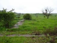 Гвардійське з panoramio.com