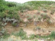 Саханка - Последние фото