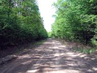 Капітанівка з panoramio.com