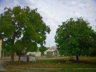 Севастянівка з panoramio.com